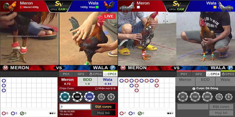 xem-choi-da-ga-online-voi-giao-dien-hien-dai-dep-mat