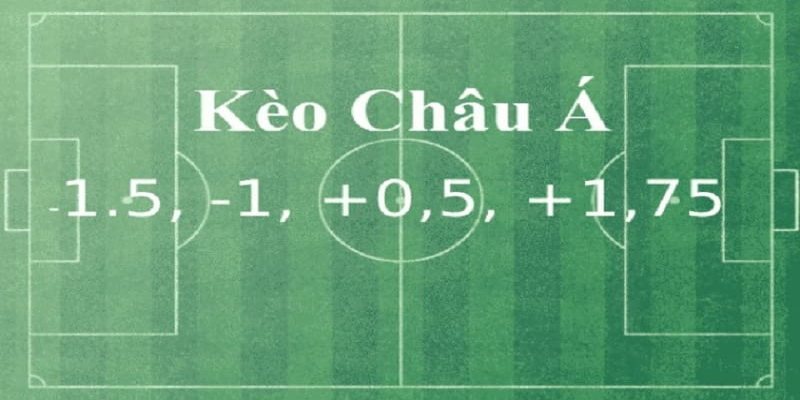 Mot-so-ty-le-keo-chau-a-thinh-hanh