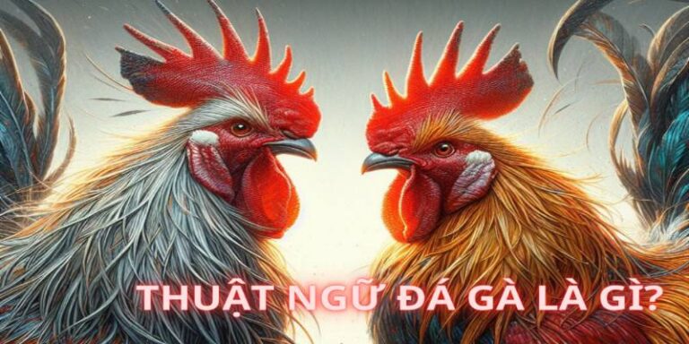 Cac-thuat-ngu-da-ga-quan-trong