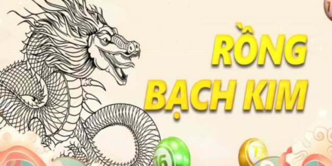 Soi-cau-lo-de-rong-bach-kim